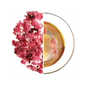 Obubu Tea Farms - Sakura Tea